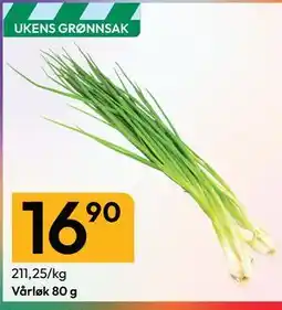 Gigaboks Vårløk tilbud