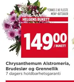 Meny Chrysanthemum Alstromeria, Brudeslør og Grennellik tilbud