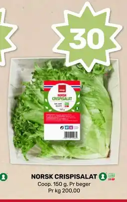 Matkroken NORSK CRISPISALAT tilbud