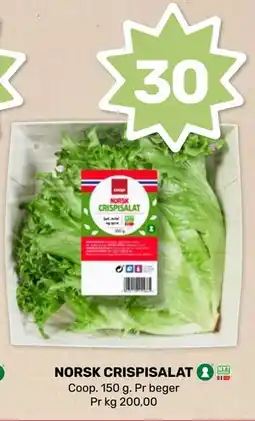 Coop Marked NORSK CRISPISALAT tilbud