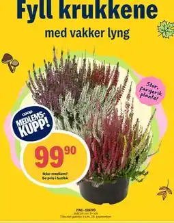 Coop Prix LYNG - QUATRO, Medlemspris tilbud