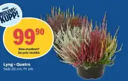 Coop Obs Lyng - Quatro, Medlemspris tilbud