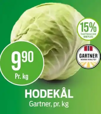 Gartner Hodekål