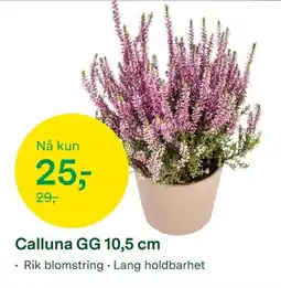 Felleskjøpet Calluna GG tilbud