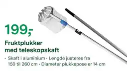 Felleskjøpet Fruktplukker med teleskopskaft tilbud