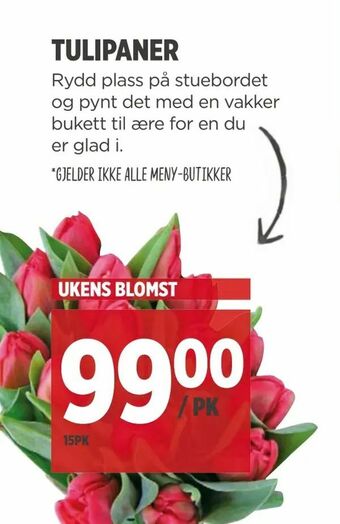 Meny Tulipaner tilbud