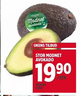 Meny Stor modnet avokado tilbud