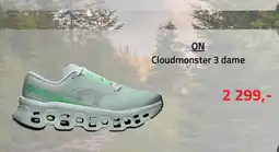 Sport 1 On cloudmonster 3 dame tilbud