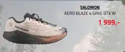 Sport 1 Salomon Aero Blaze 4 Grvl Gtx W tilbud