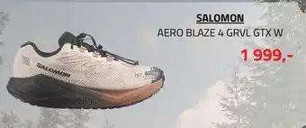 Salomon Aero Blaze 4 Grvl Gtx W