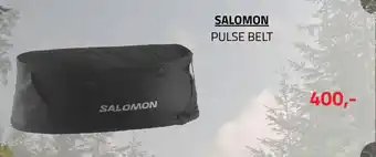 Salomon pulse belt