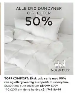 Skeidar ALLE D90 DUNDYNER OG -PUTER tilbud