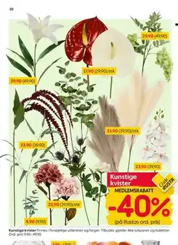 Rusta Kunstige kvister, Medlemspris tilbud