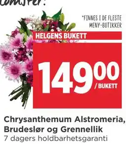 Meny Chrysanthemum Alstromeria, Brudeslør og Grennellik tilbud