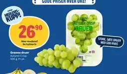 Coop Obs Grønne druer, Medlemspris tilbud