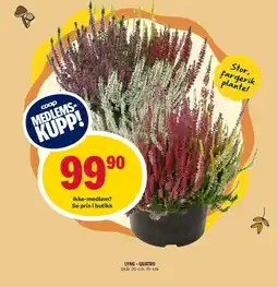 Coop Prix Coop Lyng - Quatro tilbud