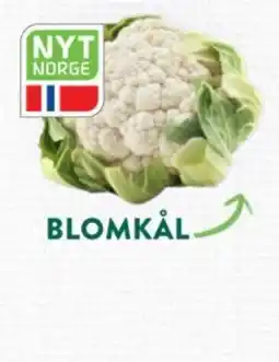 Jacobs Blomkål tilbud