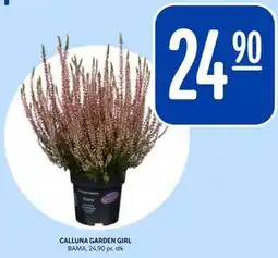 Rema 1000 CALLUNA GARDEN GIRL tilbud