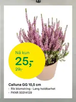 Felleskjøpet Calluna GG 10,5 cm tilbud