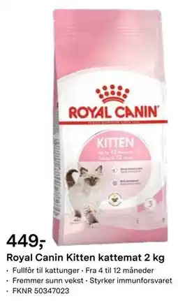 Felleskjøpet Royal Canin Kitten kattemat 2 kg tilbud