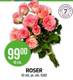 Kiwi Roser tilbud