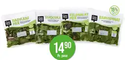 Kiwi Grønn Frikk salatblandinger tilbud