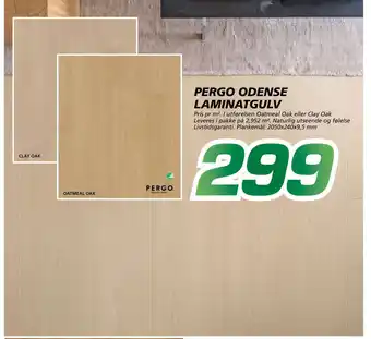 Pergo Odense Laminatgulv