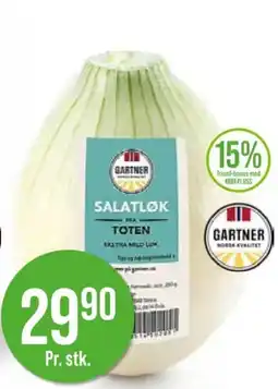 Kiwi Gartner salatløk tilbud