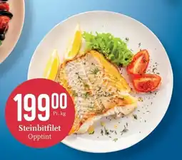 CC Mat Steinbitfilet Opptint tilbud