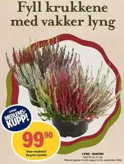 Matkroken LYNG - QUATRO, Medlemspris tilbud