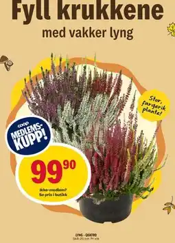 Coop Prix LYNG - QUATRO, Medlemspris tilbud