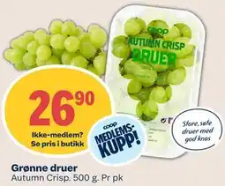 Coop Mega Grønne druer, Medlemspris tilbud