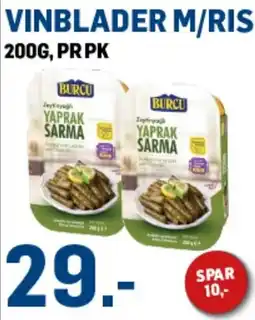 Price Lagerbutikk Burcu vinblader m/ris tilbud
