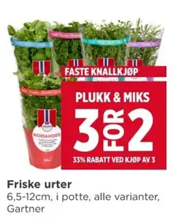 Meny Gartner friske urter tilbud