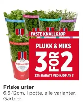 Meny Gartner friske urter tilbud