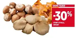 Meny Mushrooms tilbud