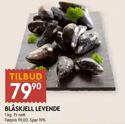 Coop Mega Blåskjell levende tilbud