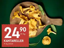 Coop Mega Kantareller tilbud