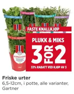Meny Friske urter tilbud