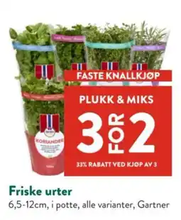 Jacobs Gartner friske urter tilbud