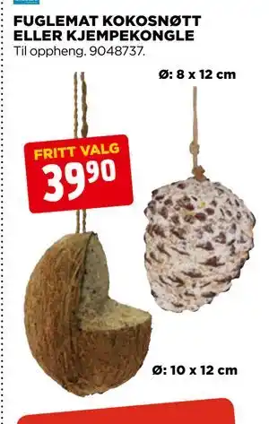 FUGLEMAT KOKOSNØTT ELLER KJEMPEKONGLE