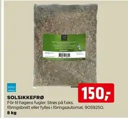 jem & fix SOLSIKKEFRØ tilbud