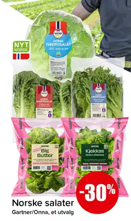 Spar Gartner/Onna norske salater tilbud