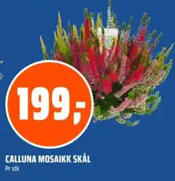 Coop Obs Calluna Mosaikk Skål tilbud