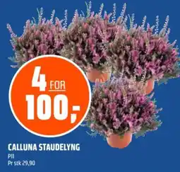 Coop Obs Calluna Staudelyng tilbud