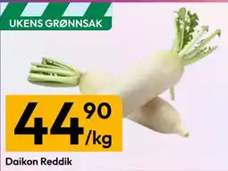 Gigaboks Daikon Reddik tilbud