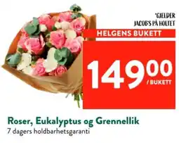 Jacobs Jacob's på Holtet Helgens Bukett tilbud