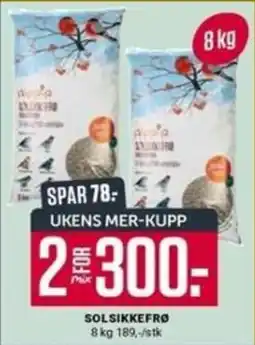 Europris Solsikkefrø tilbud