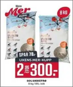 Europris Solsikkefrø tilbud