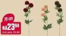 Europris Blomster tilbud